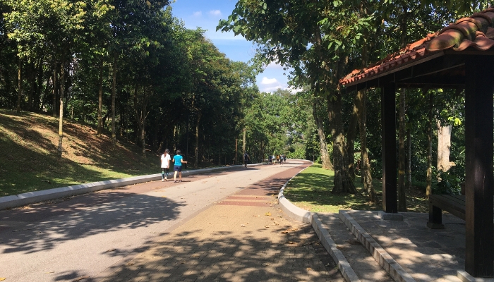Bukit Kiara Park is a must-see for jogging lovers